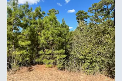 Lot 986 Kailua L Lane, Bastrop, TX 78602 - Photo 35