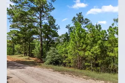 Lot 986 Kailua L Lane, Bastrop, TX 78602 - Photo 15