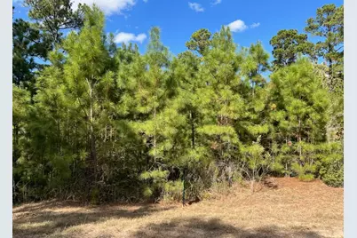 Lot 986 Kailua L Lane, Bastrop, TX 78602 - Photo 31
