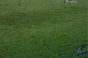 19633 Cheyenne Valley Dr, Round Rock, TX 78664 - Photo 29