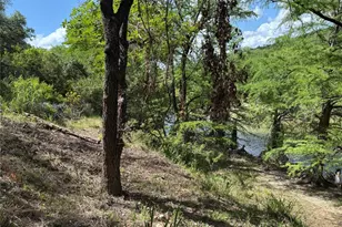 172 Bluff Trail, Dripping Springs, TX 78620 - Photo 15