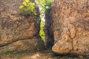 172 Bluff Trail, Dripping Springs, TX 78620 - Photo 13