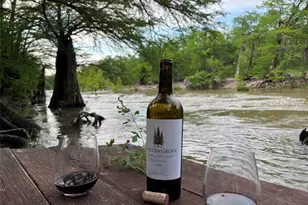 172 Bluff Trail, Dripping Springs, TX 78620 - Photo 7