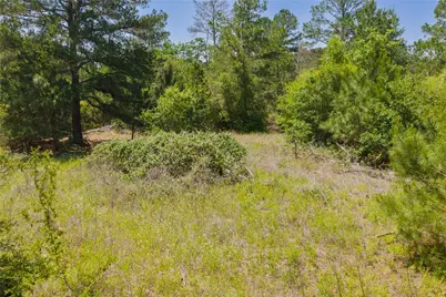224 Pine Valley Drive, Paige, TX 78659 - Photo 23