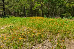 224 Pine Valley Dr, Paige, TX 78659 - Photo 25