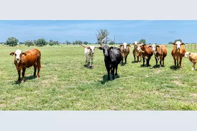 605 Fm 1682, Leesville, TX 78122 - Photo 25