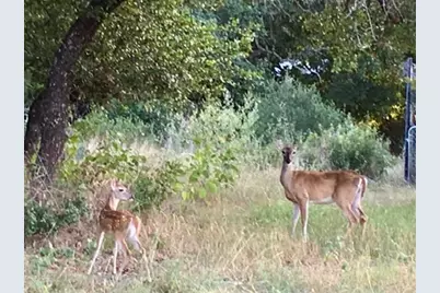 729 Nomad Drive, Spicewood, TX 78669 - Photo 39