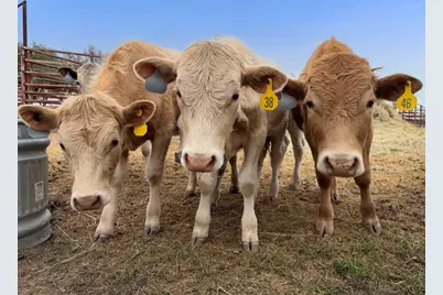 15040 County Road 2200, Lometa, TX 76853 - Photo 39