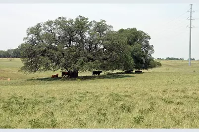 319 R C Lane, Lockhart, TX 78644 - Photo 7