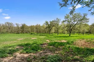 274 Old Austin Trail, Elgin, TX 78621 - Photo 31