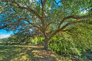 101 Arrowlake Rd, Wimberley, TX 78676 - Photo 37