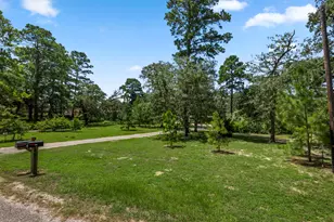 217 Pine Hill Loop, Bastrop, TX 78602 - Photo 3