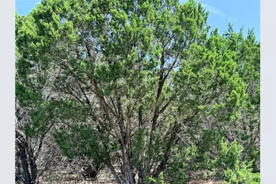 250 Oak Knob, Wimberley, TX 78676 - Photo 11