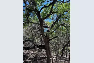 37 Heathrow Lane, Wimberley, TX 78676 - Photo 5