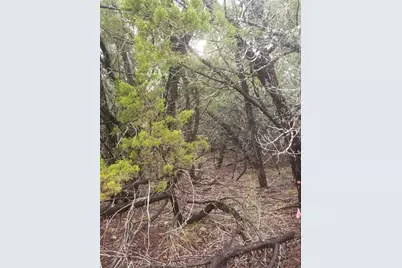 20204 Lansing Cove, Lago Vista, TX 78645 - Photo 23