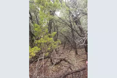 20204 Lansing Cove, Lago Vista, TX 78645 - Photo 23