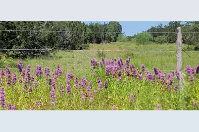 2654 County Road 321, Bertram, TX 78605 - Photo 5