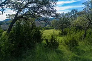 717 Bluff Ridge Trail, Blanco, TX 78606 - Photo 1