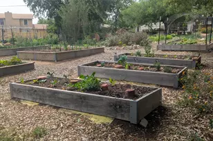 12309 Danny Dr, Austin, TX 78759 - Photo 29