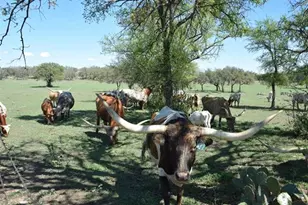 2116 Co Rd 403, Marble Falls, TX 78654 - Photo 19