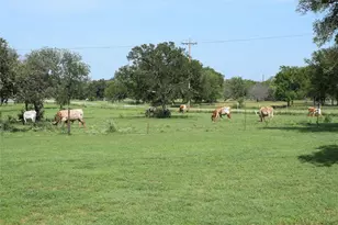 2116 Co Rd 403, Marble Falls, TX 78654 - Photo 15