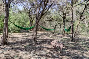 8904 W Hove Loop, Austin, TX 78749 - Photo 39