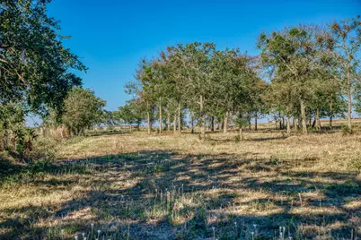 Tbd Walter Hoffman Rd., Cedar Creek, TX 78612 - Photo 13