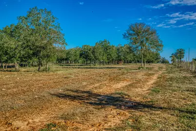 Tbd Walter Hoffman Rd., Cedar Creek, TX 78612 - Photo 11