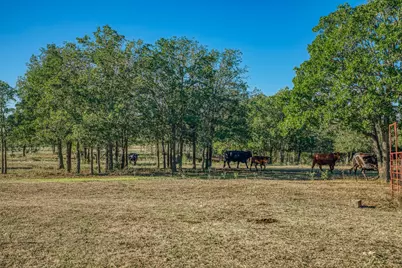 Tbd Walter Hoffman Rd., Cedar Creek, TX 78612 - Photo 19