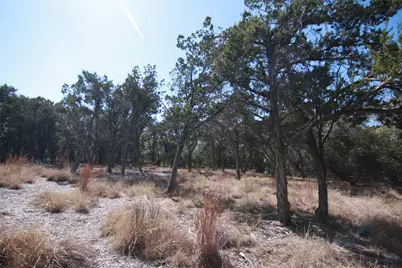 150 Patricks Way, Dripping Springs, TX 78620 - Photo 21