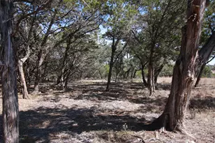 150 Patricks Wy, Dripping Springs, TX 78620 - Photo 1
