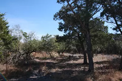 150 Patricks Way, Dripping Springs, TX 78620 - Photo 17