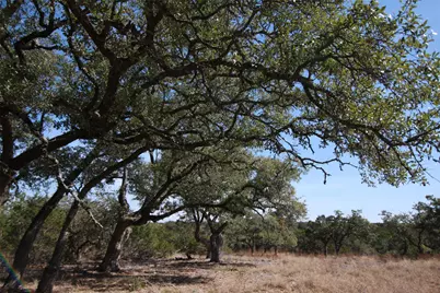 150 Patricks Way, Dripping Springs, TX 78620 - Photo 31