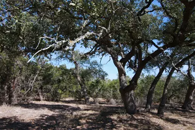 150 Patricks Way, Dripping Springs, TX 78620 - Photo 33