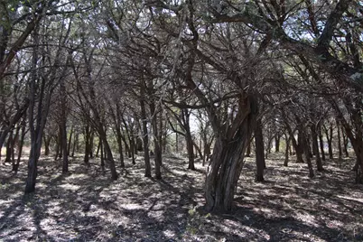 150 Patricks Way, Dripping Springs, TX 78620 - Photo 27