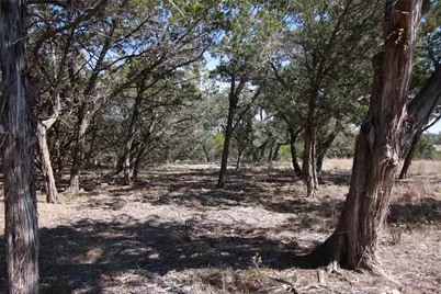 150 Patricks Way, Dripping Springs, TX 78620 - Photo 29