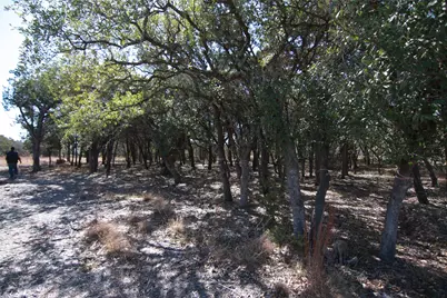150 Patricks Way, Dripping Springs, TX 78620 - Photo 25
