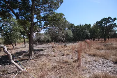 150 Patricks Way, Dripping Springs, TX 78620 - Photo 23