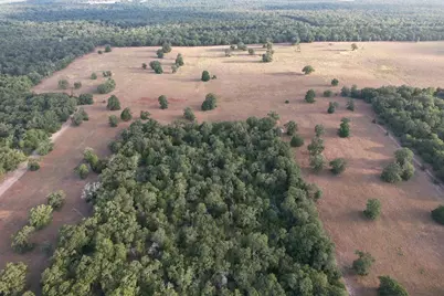 2542 County Road 306, Lexington, TX 78947 - Photo 19