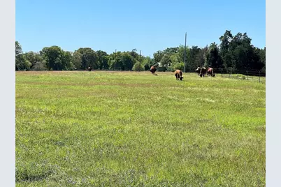 2542 County Road 306, Lexington, TX 78947 - Photo 11