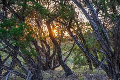 8144 Lake Mountain Lane, Leander, TX 78641 - Photo 3