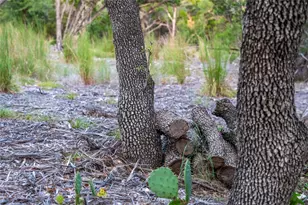 8144 Lake Mountain Ln, Leander, TX 78641 - Photo 13