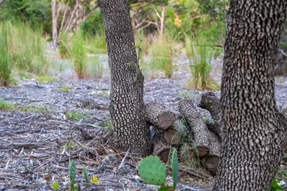 8144 Lake Mountain Lane, Leander, TX 78641 - Photo 13