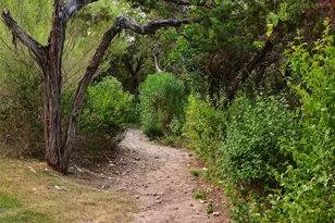 1415 Mt Larson Rd, Austin, TX 78746 - Photo 29