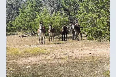 1276 Fm 574 W, Mullin, TX 76864 - Photo 19