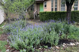 16 E Villa Meadow St, Wimberley, TX 78676 - Photo 3