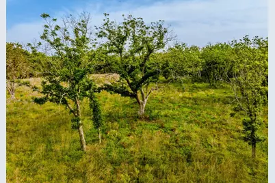 000 The Reserve At 290 Highway, Johnson City, TX 78638 - Photo 15