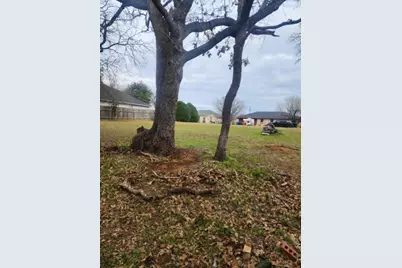 117 Allison Cove, Elgin, TX 78621 - Photo 5