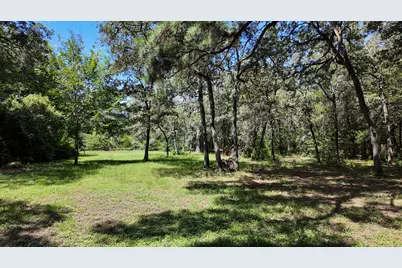 111 Old Piney Trail, Paige, TX 78659 - Photo 27