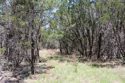 Tbd Oak Run Drive, Wimberley, TX 78676 - Photo 19